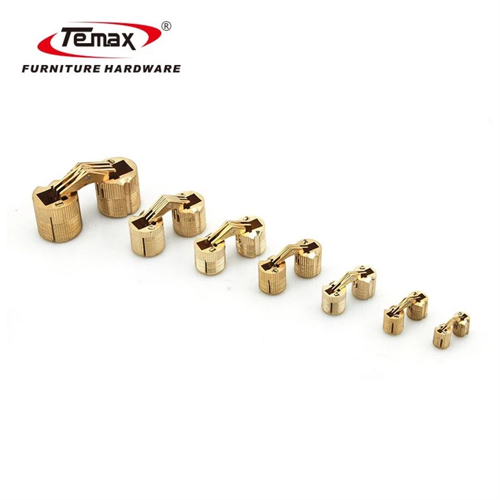 TEMAX Invisible Brass Barrel Hinge